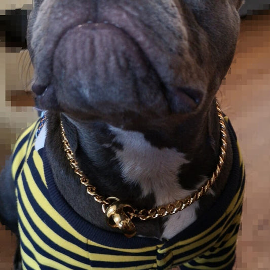 14mm 18K Cuban Link O Ring Dog Choke Collar - GOLD PRIME